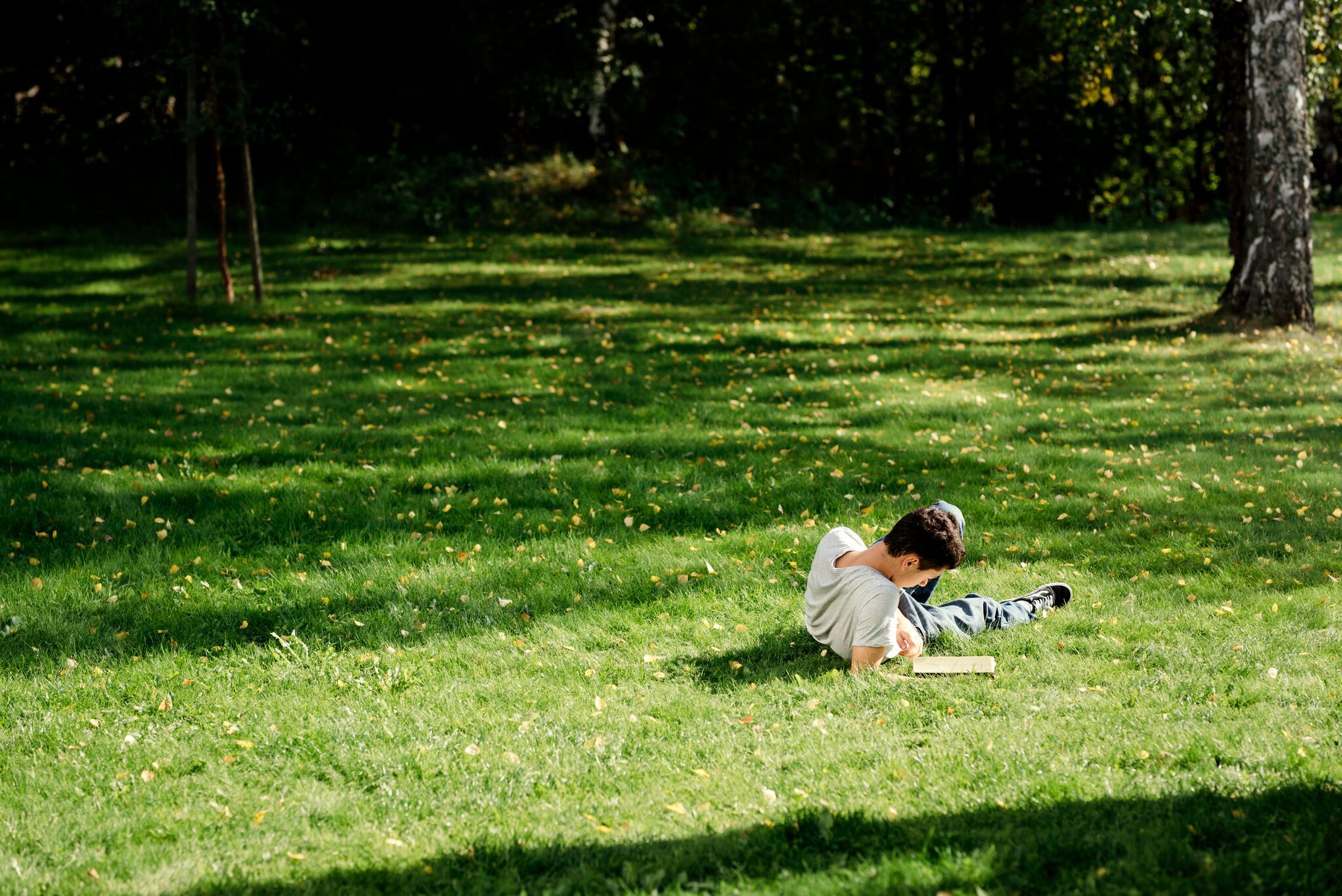 Student leser i hagen